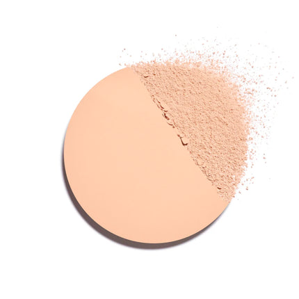 CHANEL LES BEIGES HEALTHY GLOW SHEER POWDER SHADES