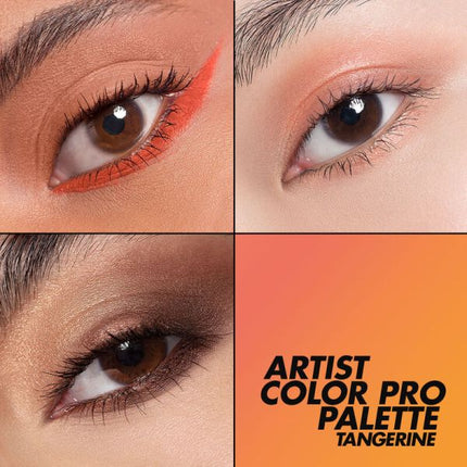 Make Up For Ever Artist Color Pro Palette For Eyes & Face - 003 Tangerine
