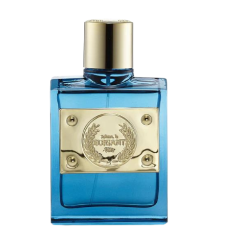 جيبارليس اليجانت اتراكتيف بور هوم 100مل او دي تواليت عطر للرجال
