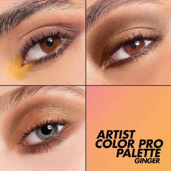 Make Up For Ever Artist Color Pro Palette For Eyes & Face - 001 Ginger
