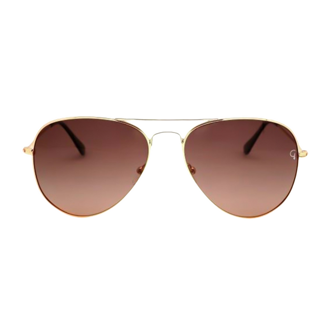 Gravity Aviator Unisex Polarized Sunglasses – SGT3025GLD1