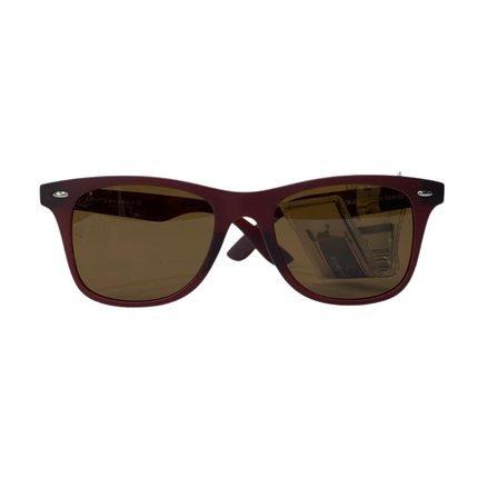 Gravity Wayfarer Unisex Polarized Sunglasses – SGT2266BRNC3